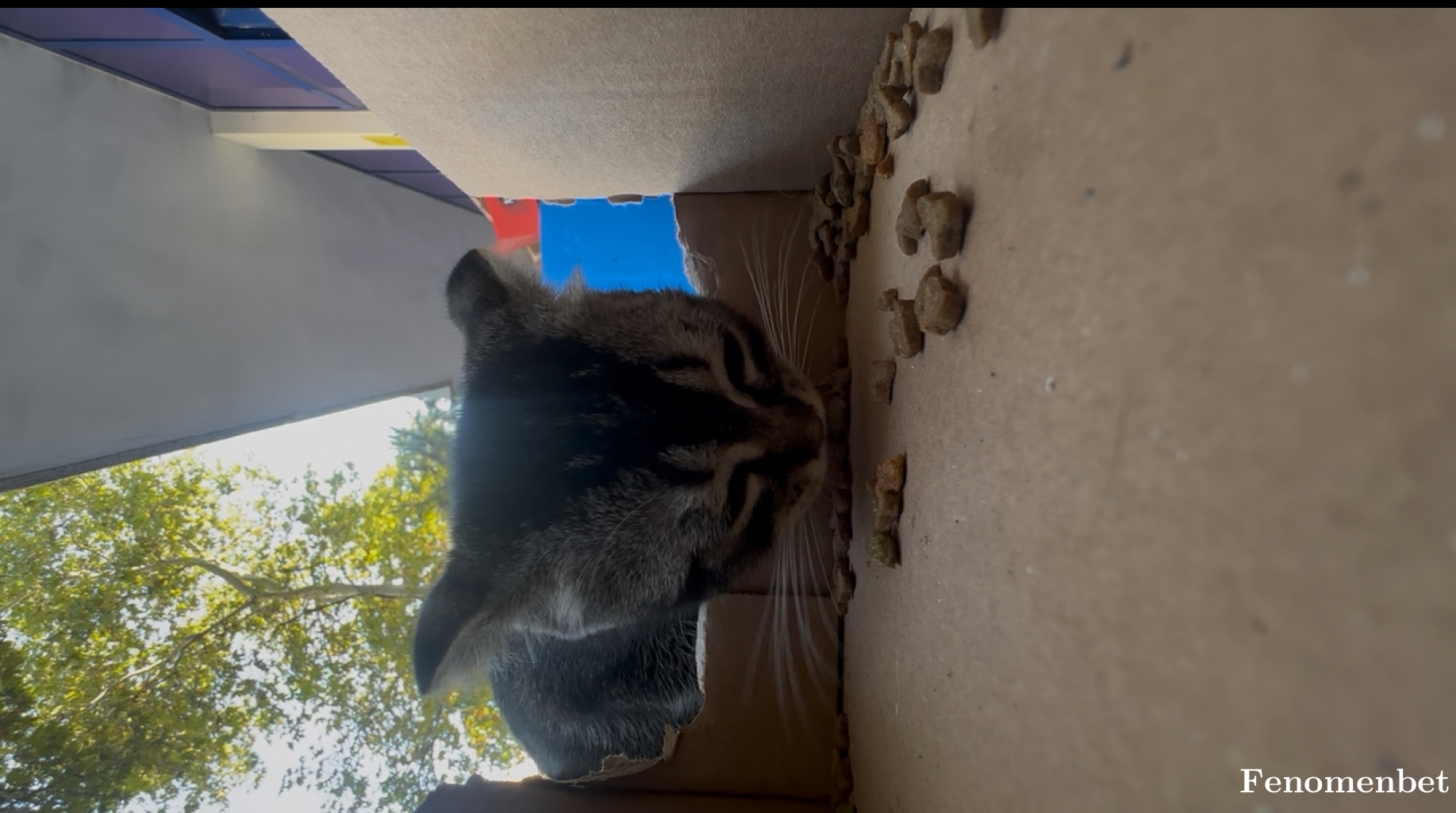 cgryvz7 tarafından paylaşıldı