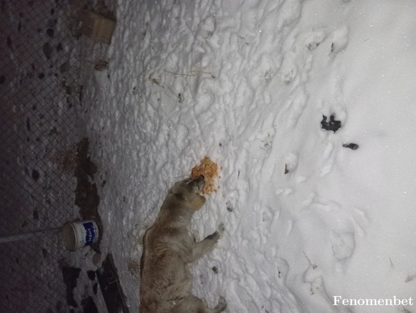 bobo2475 tarafından paylaşıldı