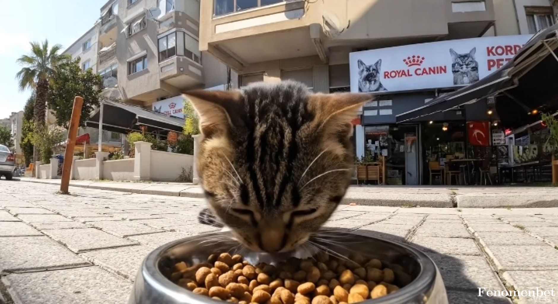 muteksk1912 tarafından paylaşıldı