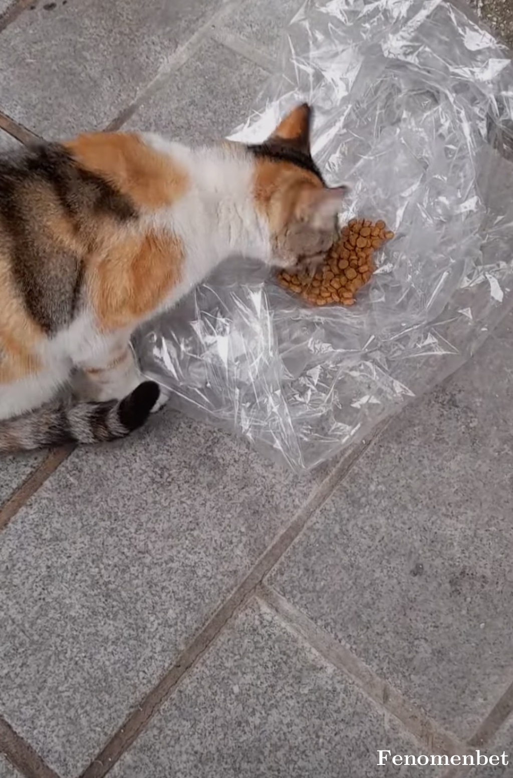 Ahmetovic tarafından paylaşıldı