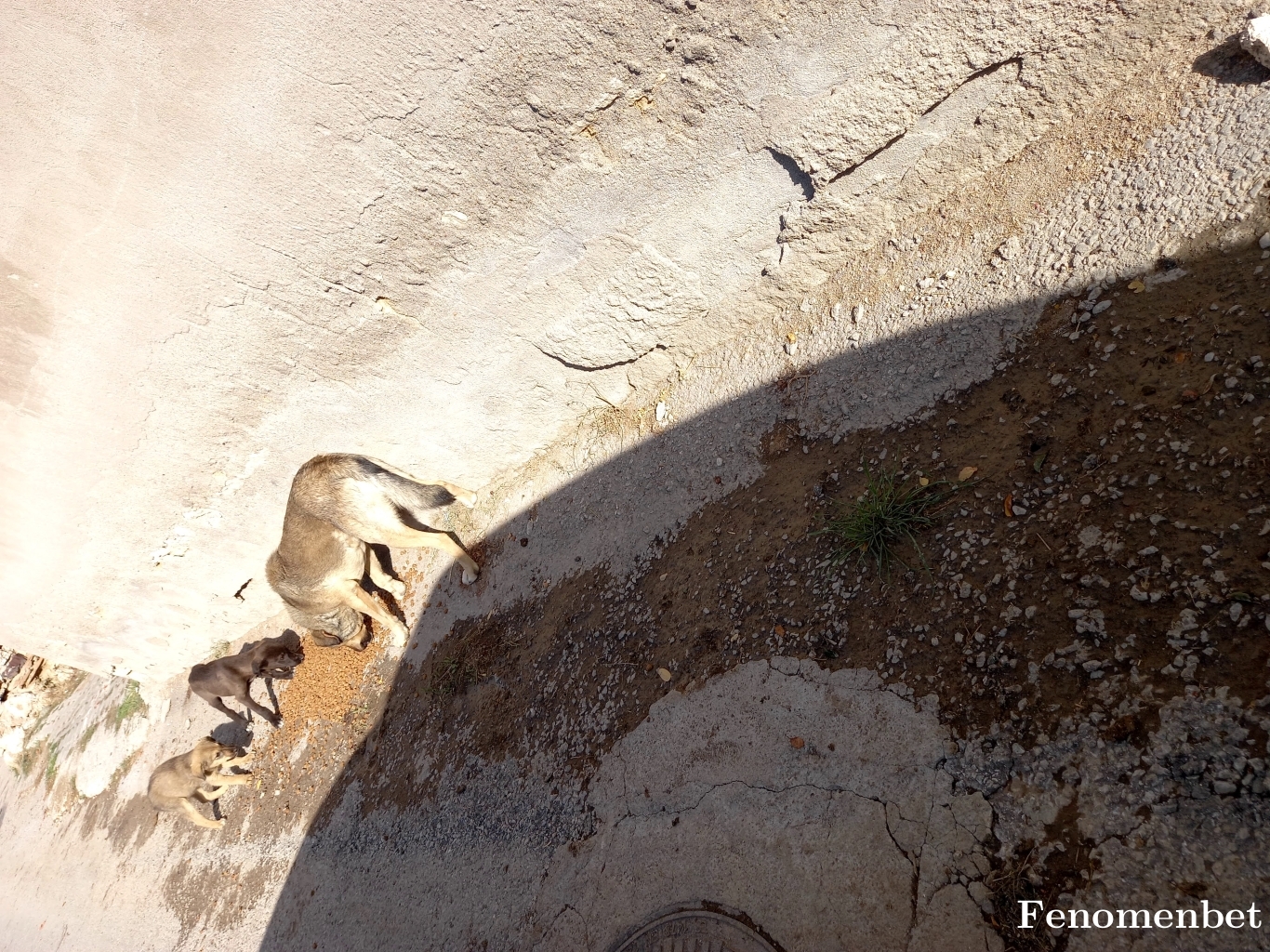 Nuray523 tarafından paylaşıldı