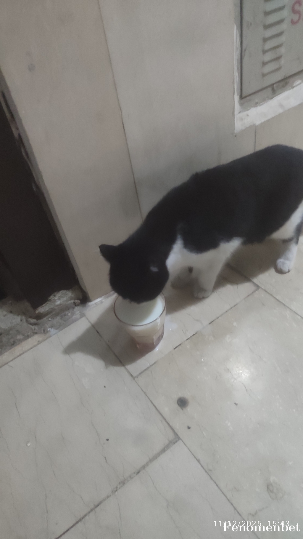 ihyagmaci tarafından paylaşıldı