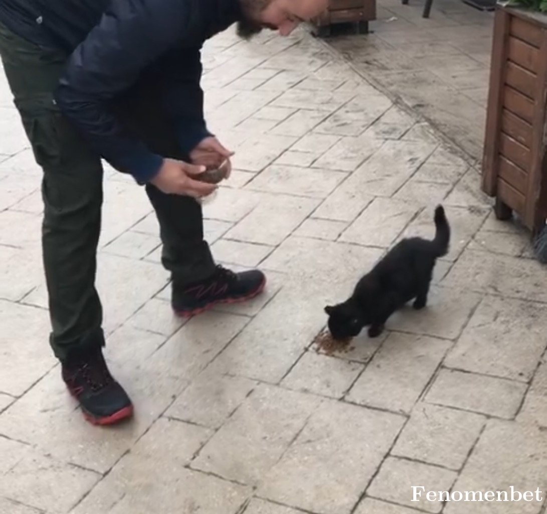 Byset tarafından paylaşıldı