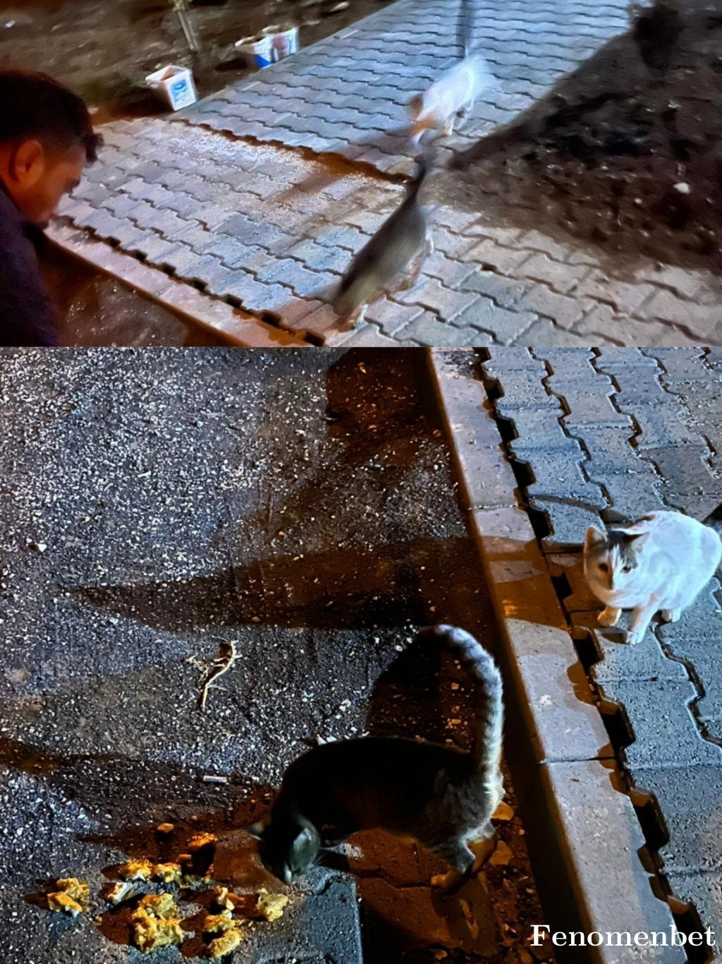 Tahirun tarafından paylaşıldı