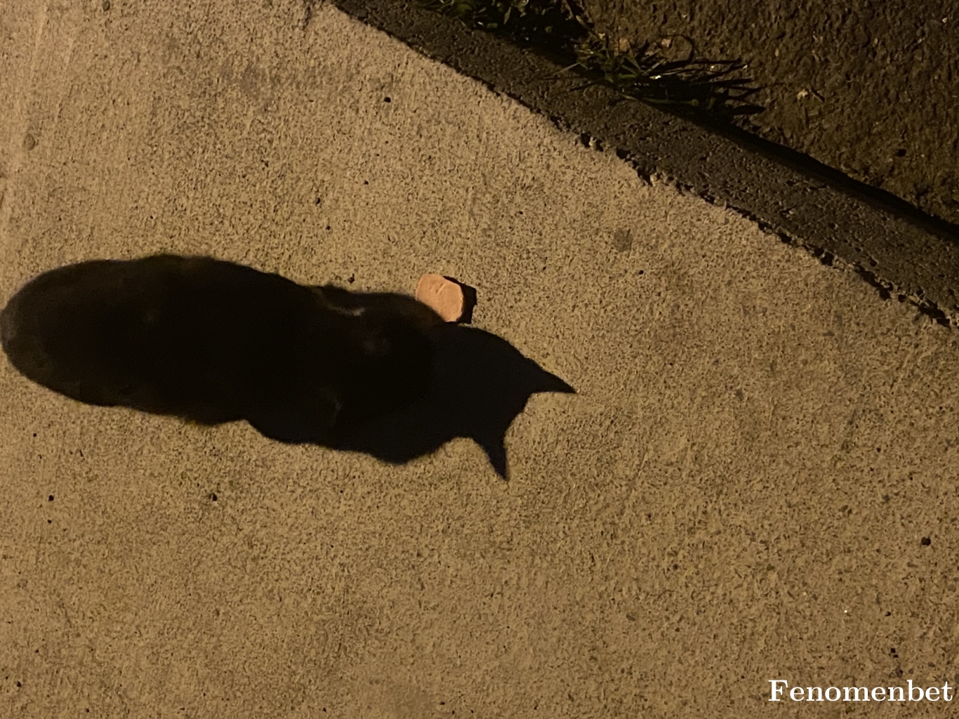 Karamo tarafından paylaşıldı