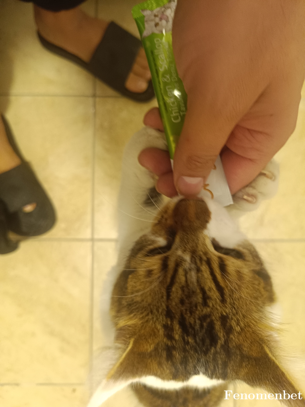 erentt88 tarafından paylaşıldı