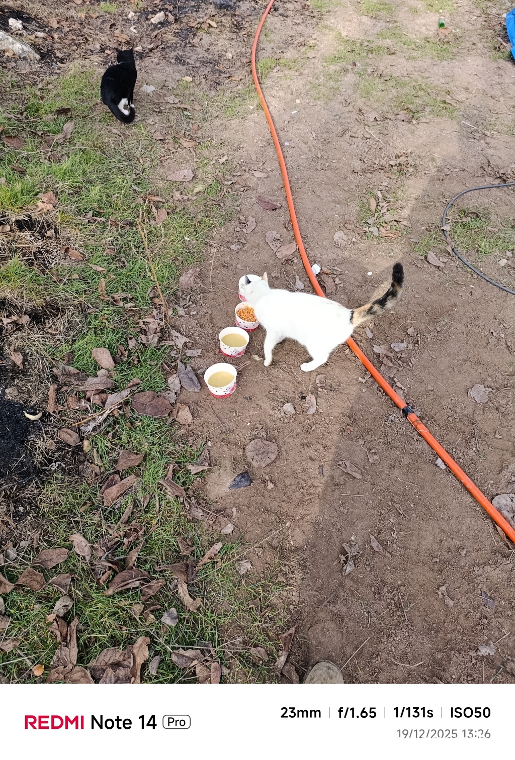 Harun0618 tarafından paylaşıldı