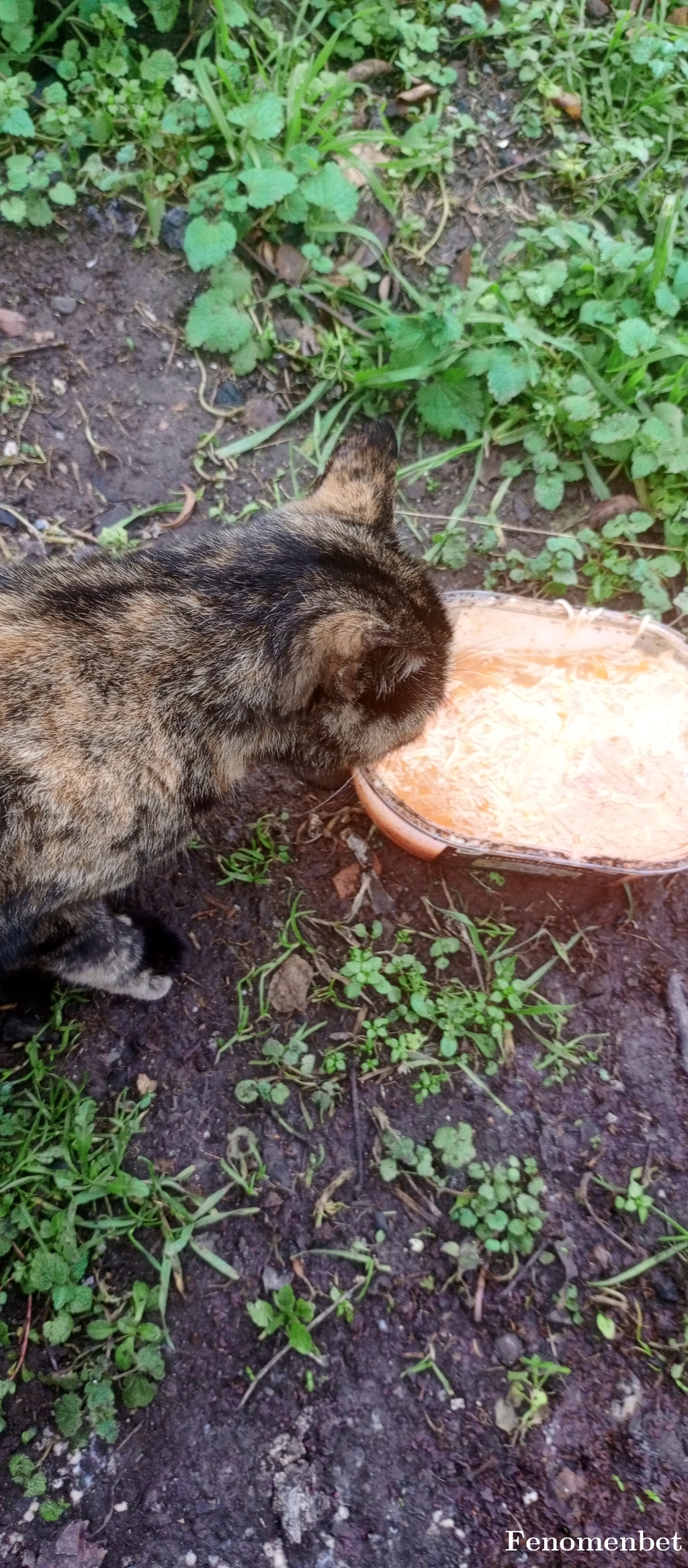 Gs8111 tarafından paylaşıldı