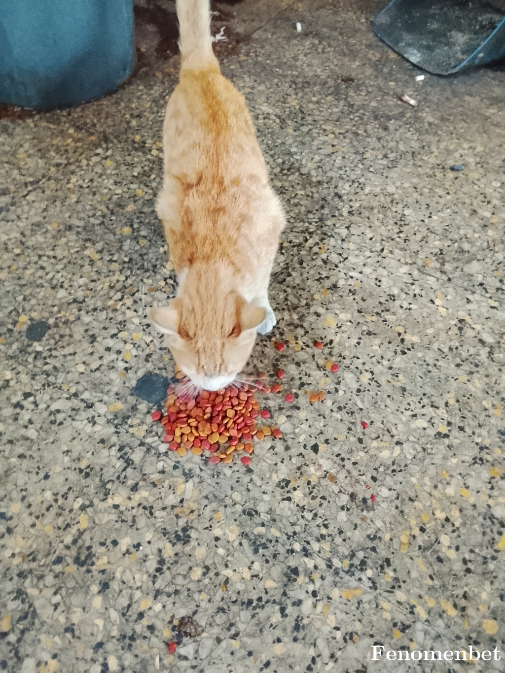 mehmet2144y tarafından paylaşıldı