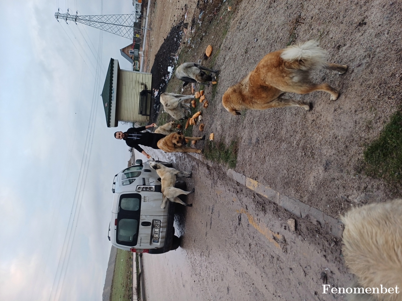 Resbey1 tarafından paylaşıldı