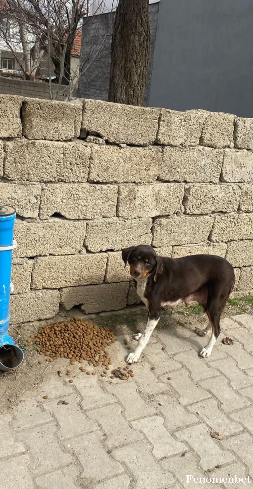 Malike9558 tarafından paylaşıldı