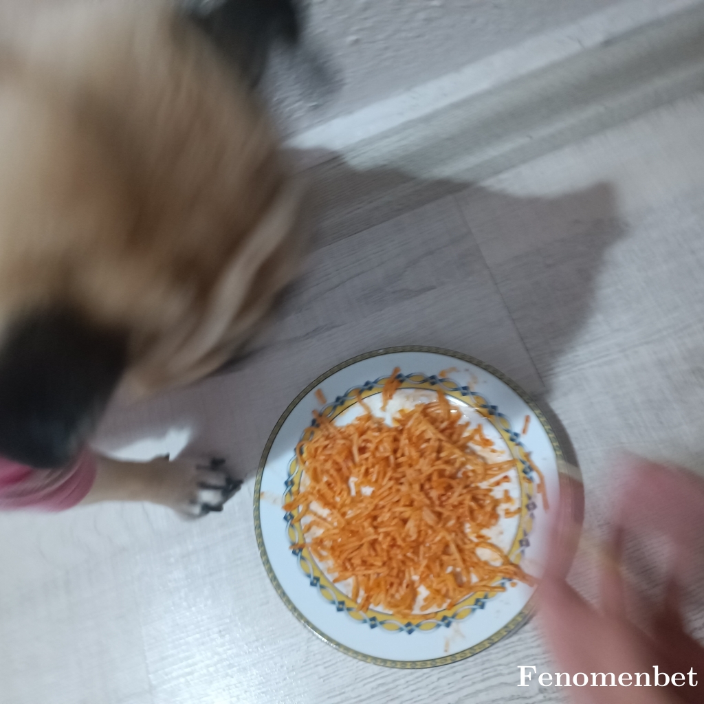 Ipek35 tarafından paylaşıldı