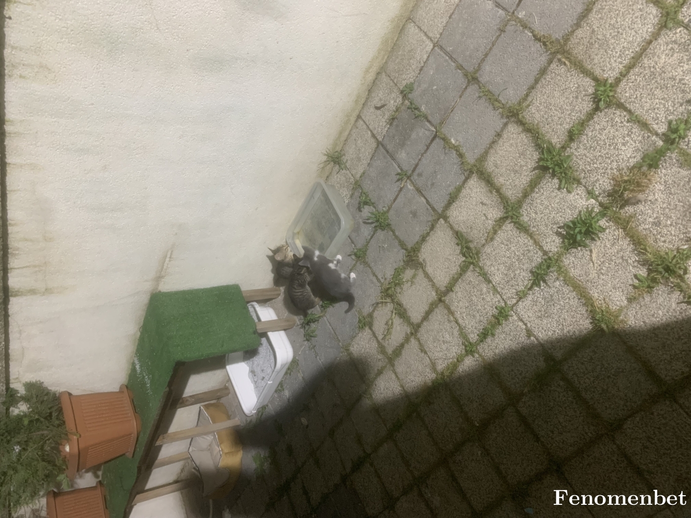 Barmen52 tarafından paylaşıldı