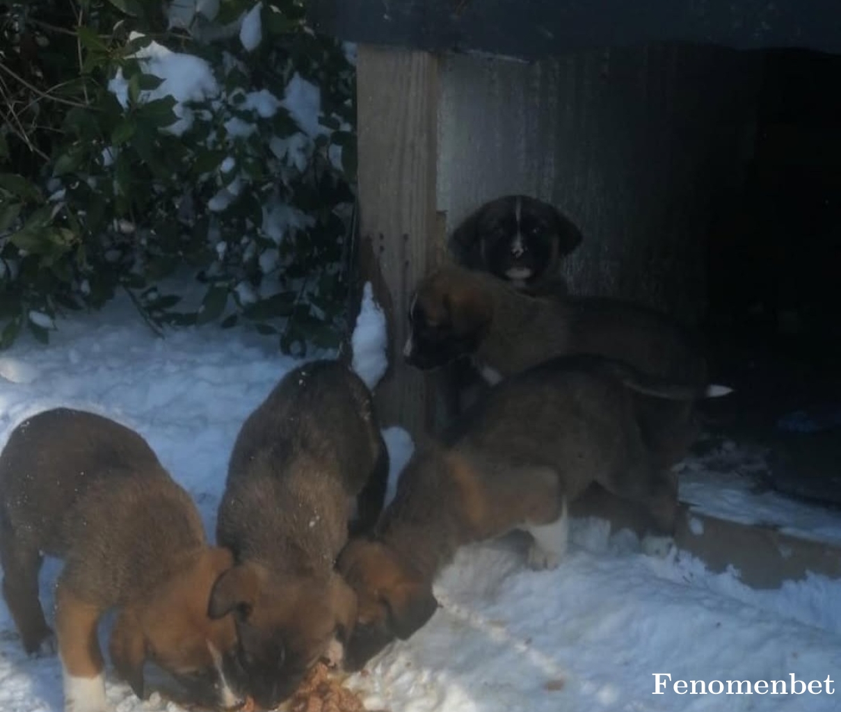 Bara800 tarafından paylaşıldı