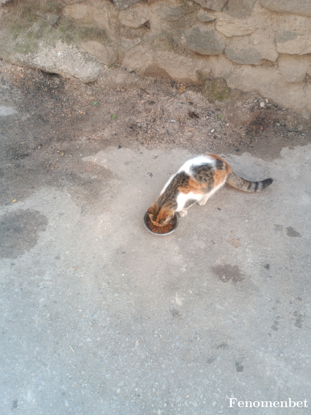 Seko1625 tarafından paylaşıldı