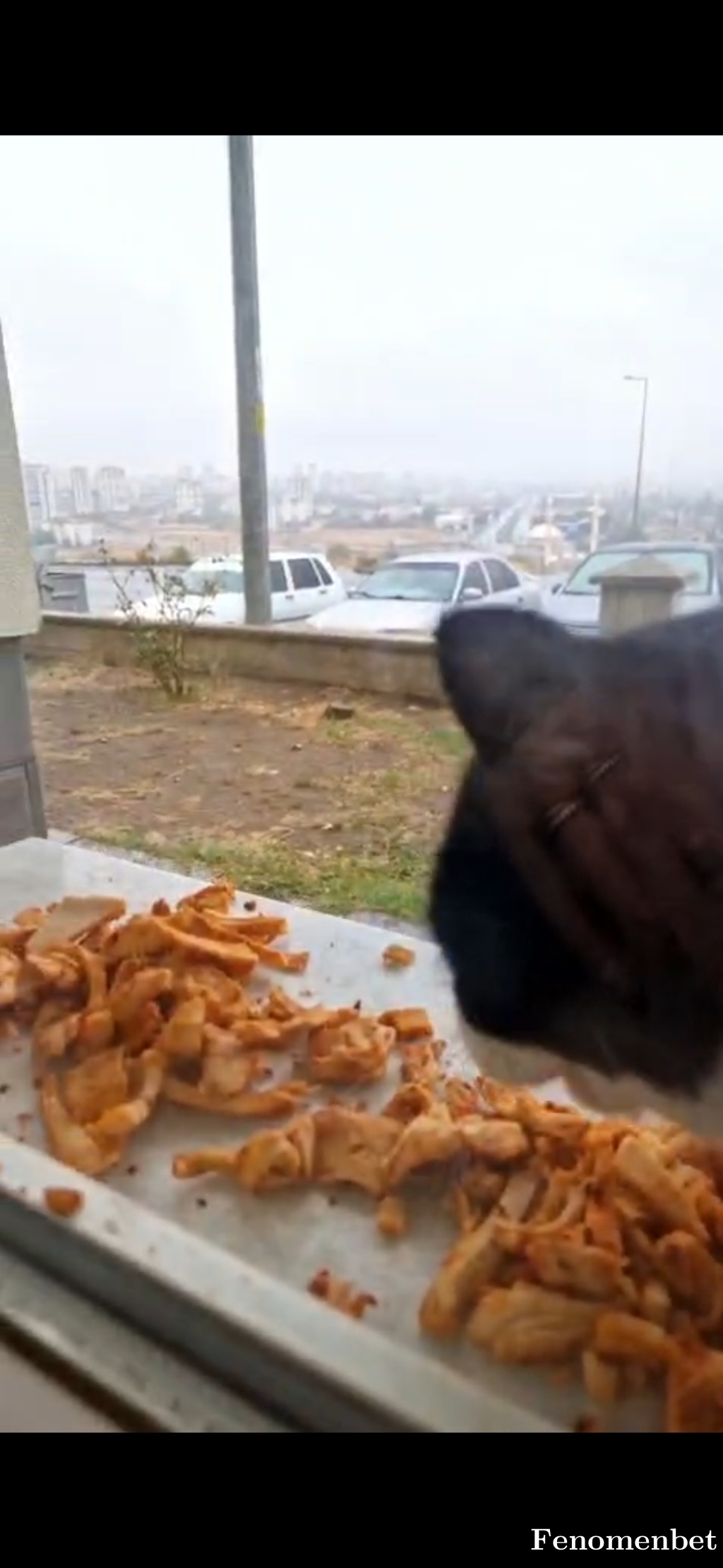 ggizem33 tarafından paylaşıldı