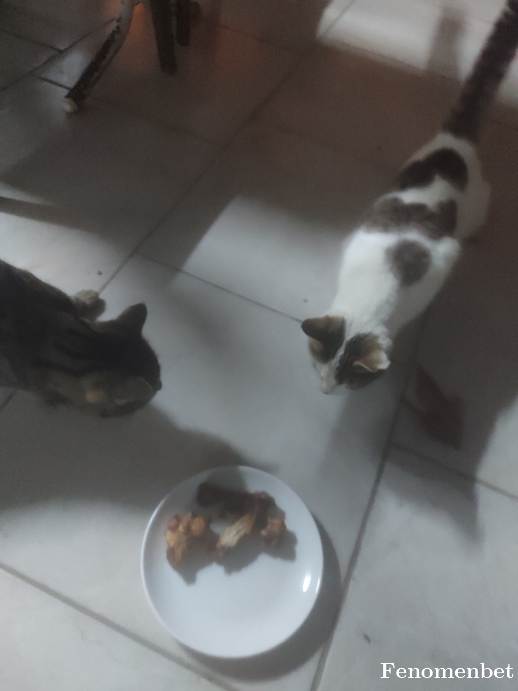 XQbii tarafından paylaşıldı