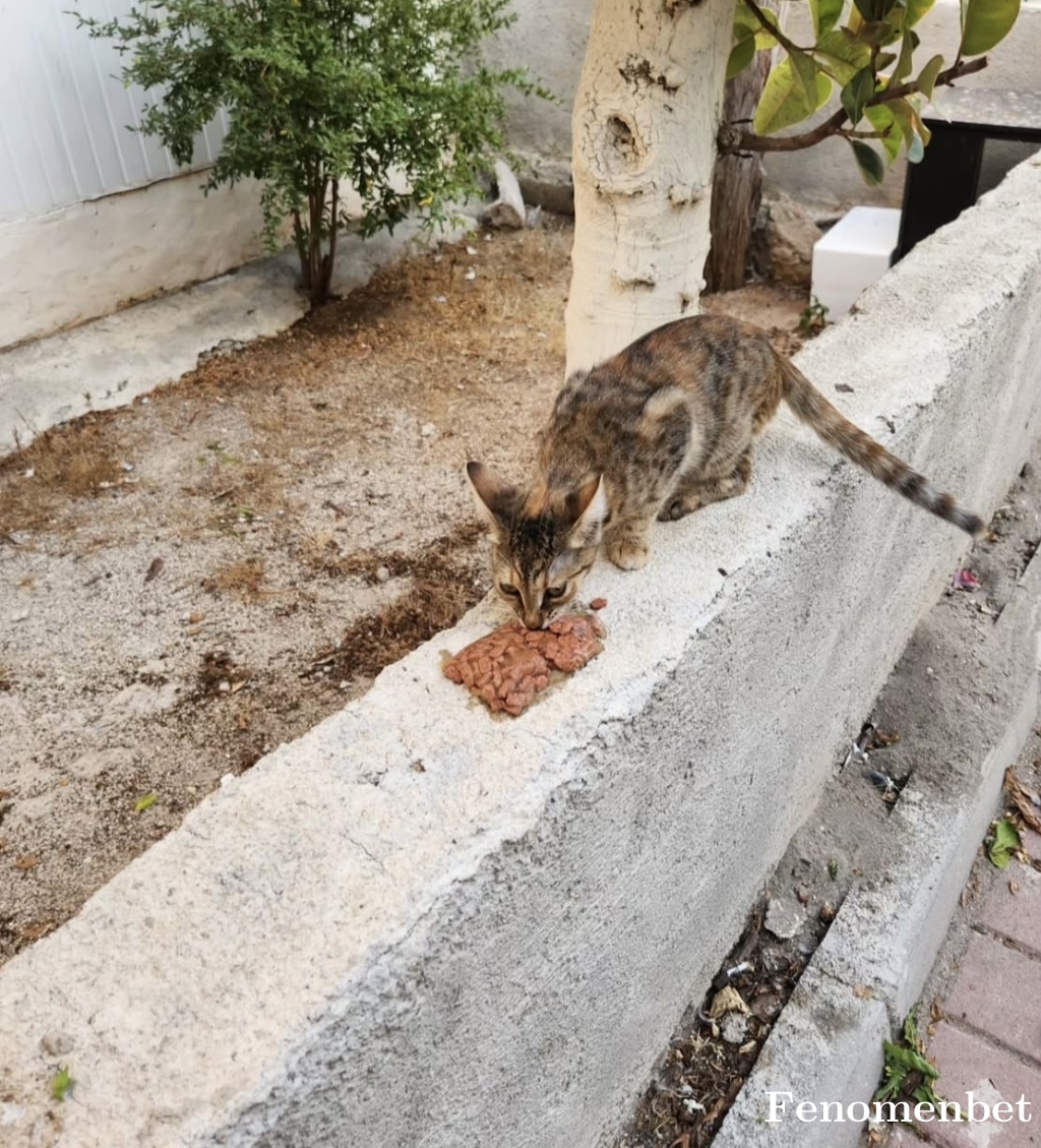 Onuristan tarafından paylaşıldı