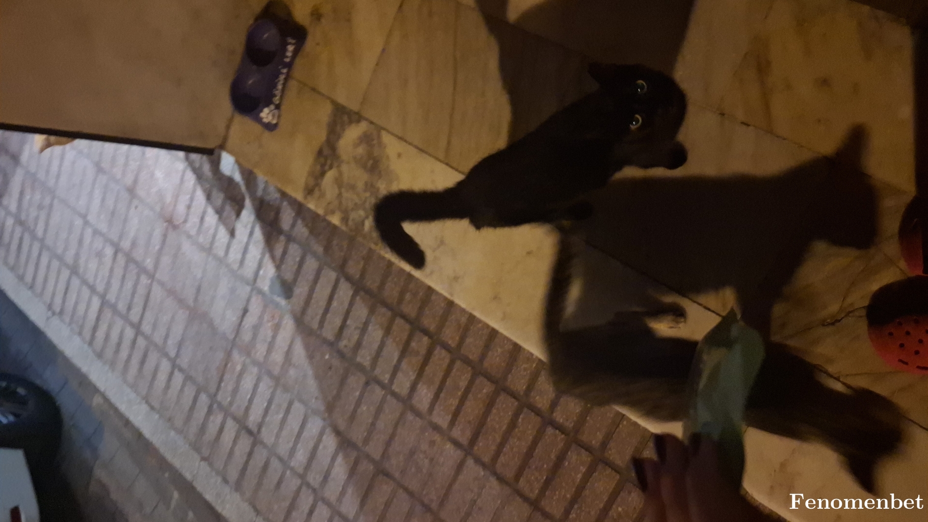 Senem98 tarafından paylaşıldı