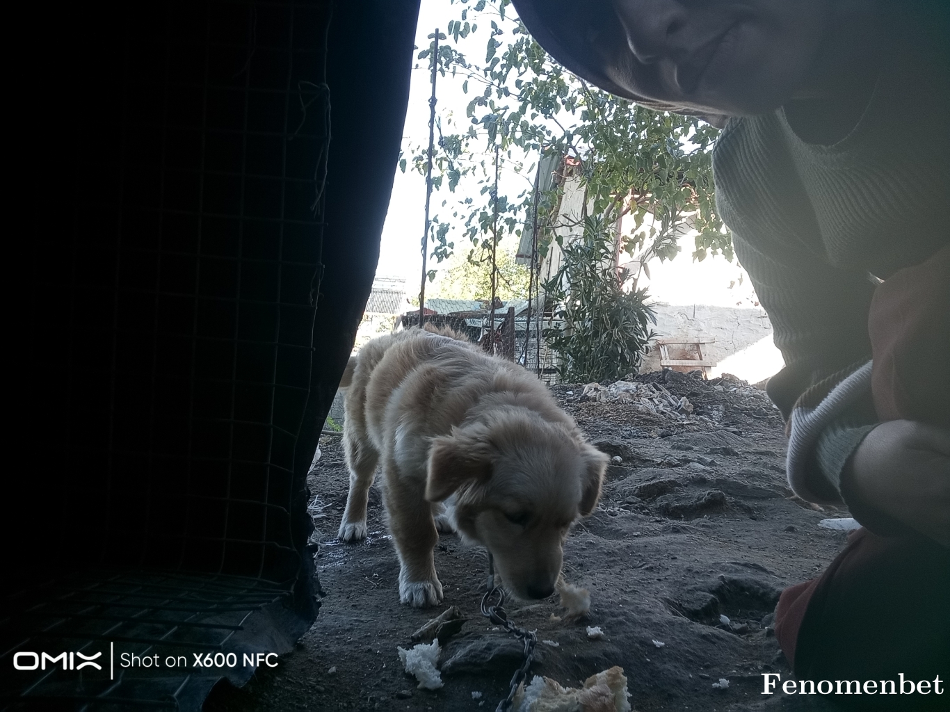 Dilanilman  tarafından paylaşıldı