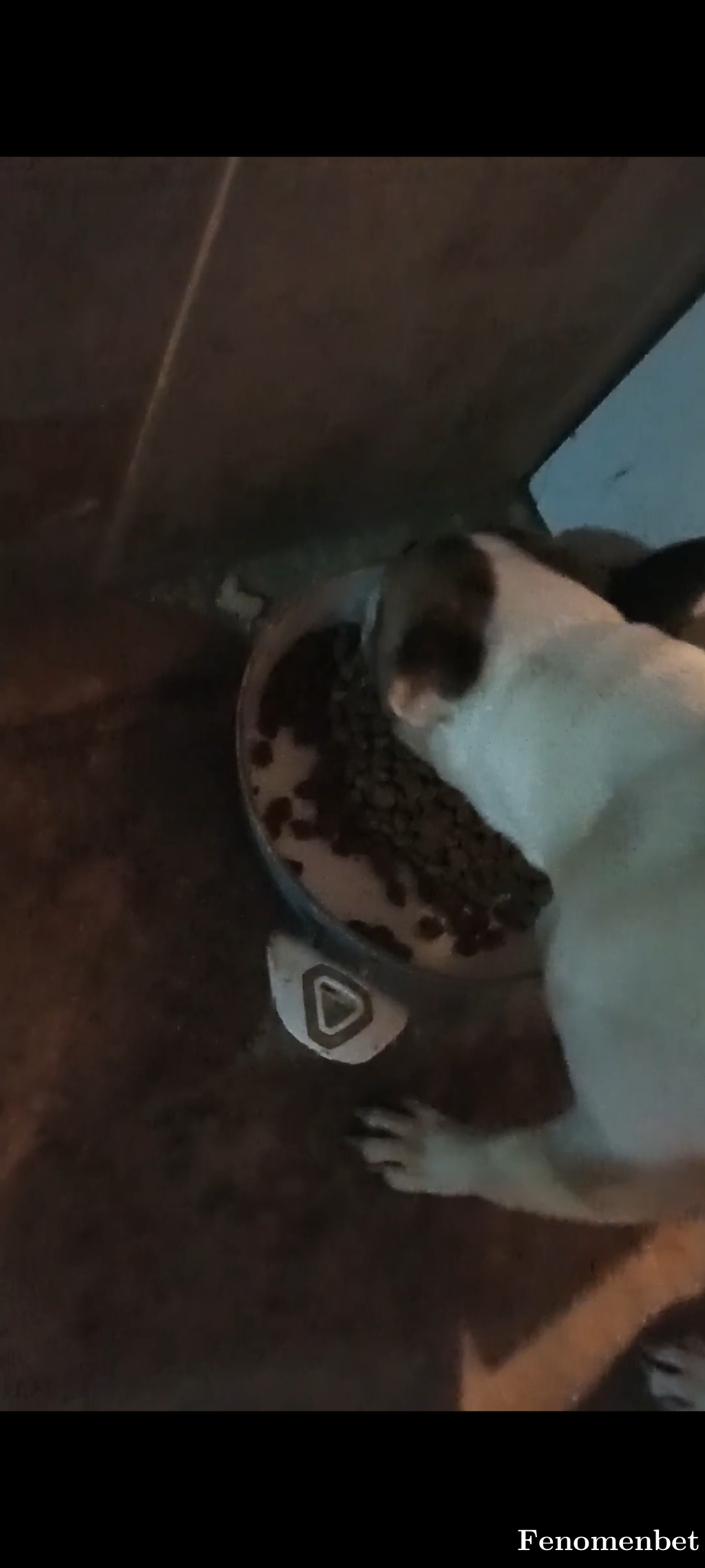 Rebii tarafından paylaşıldı