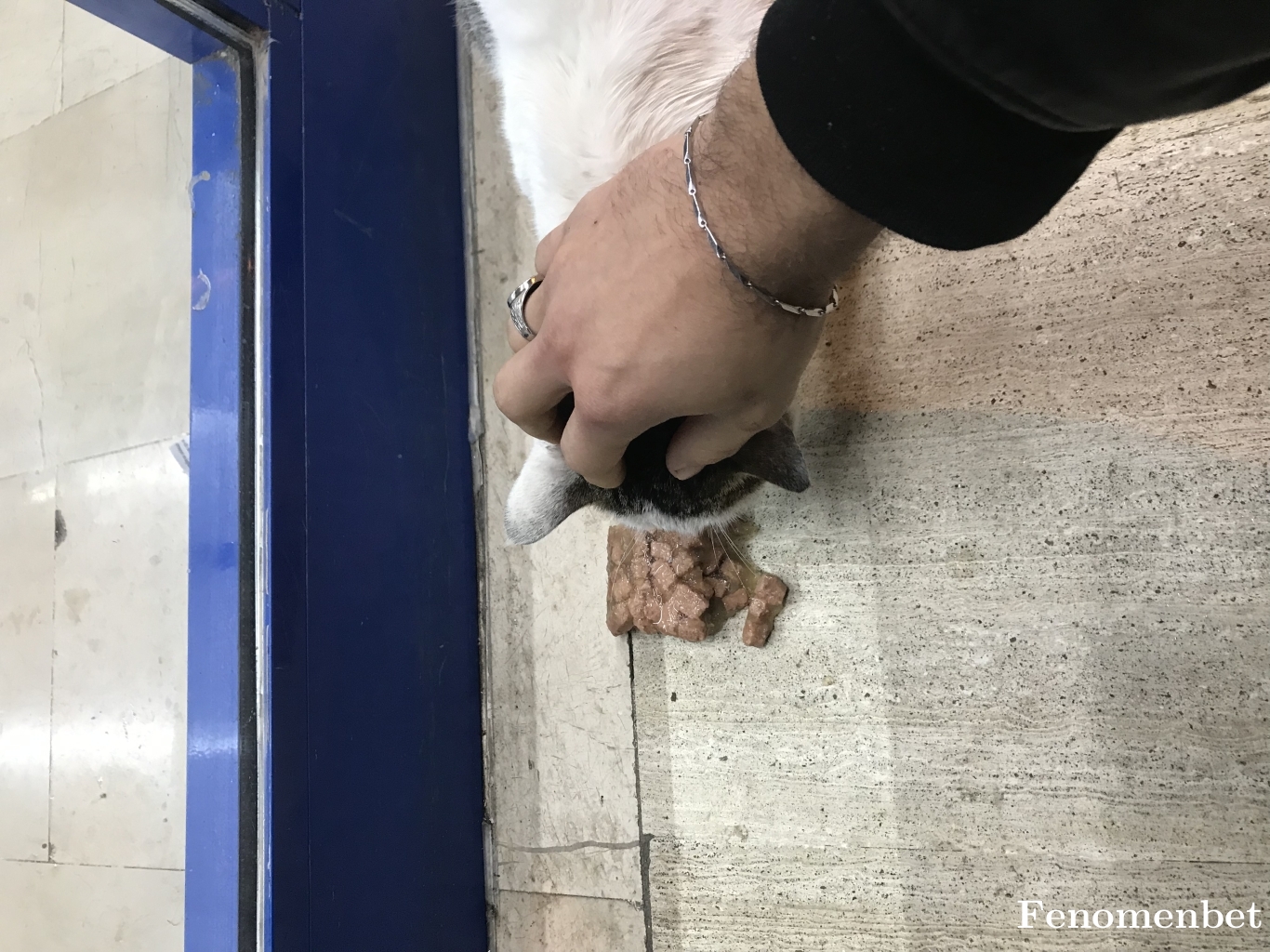 Yunusrest tarafından paylaşıldı