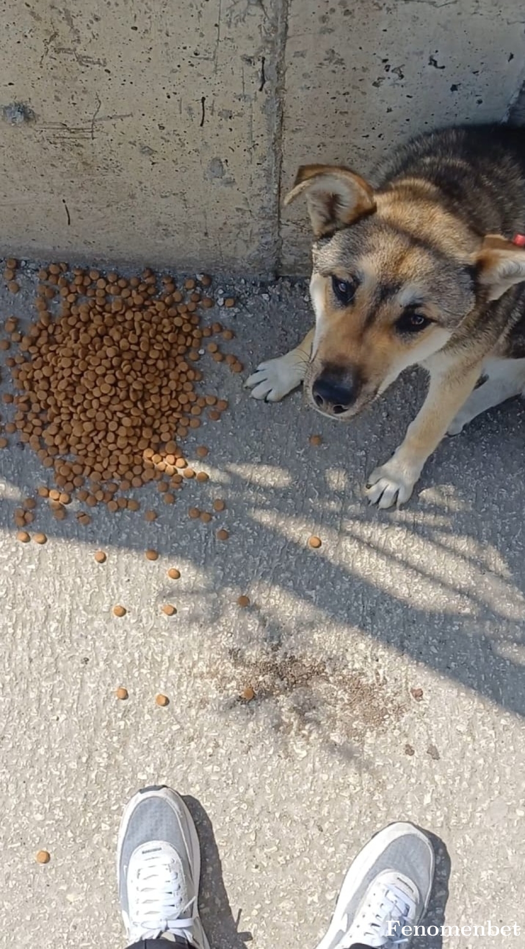 kobemonk tarafından paylaşıldı