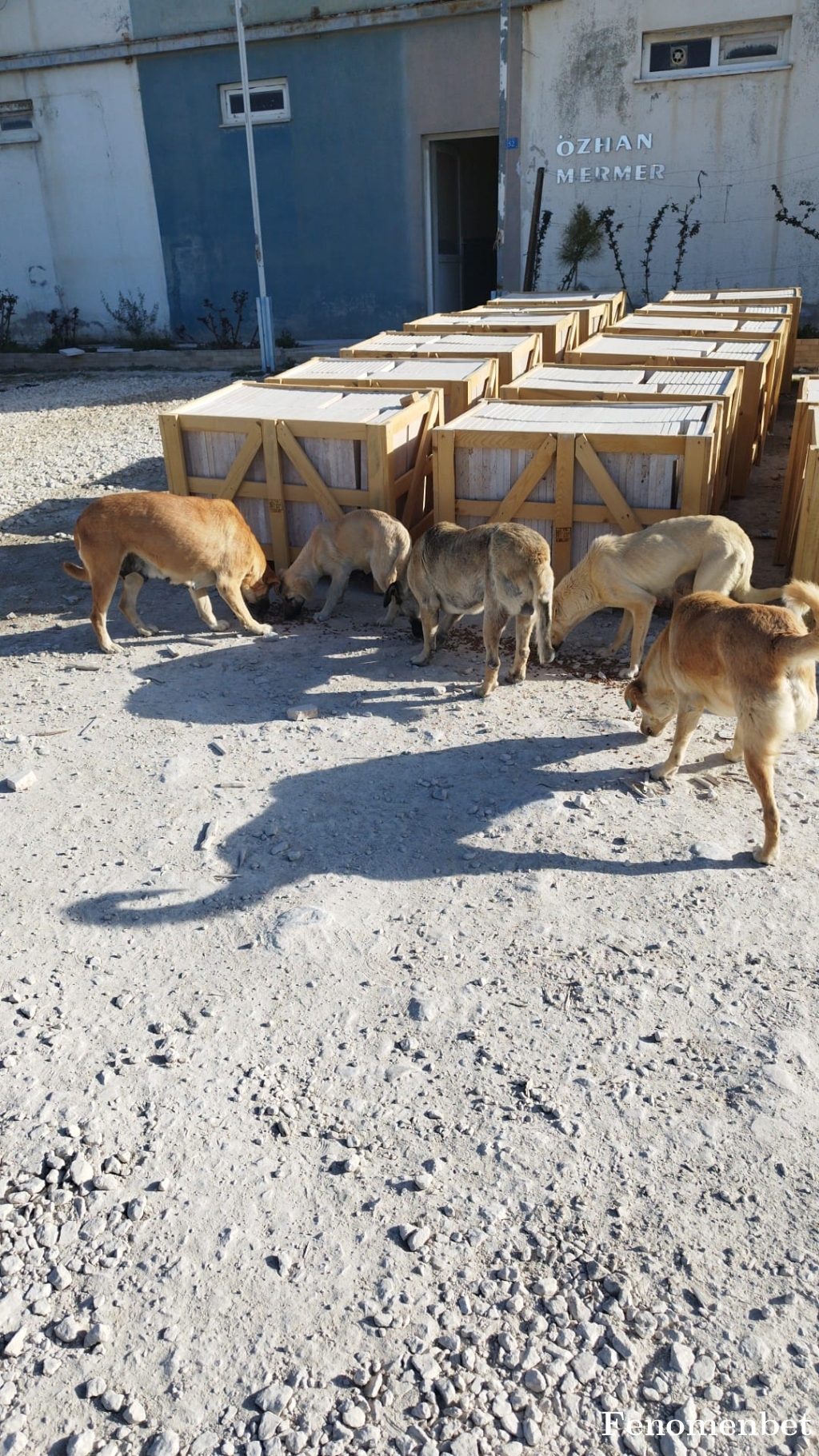 Bacanaq tarafından paylaşıldı