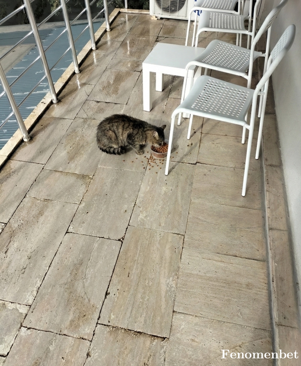 Teletuesday tarafından paylaşıldı