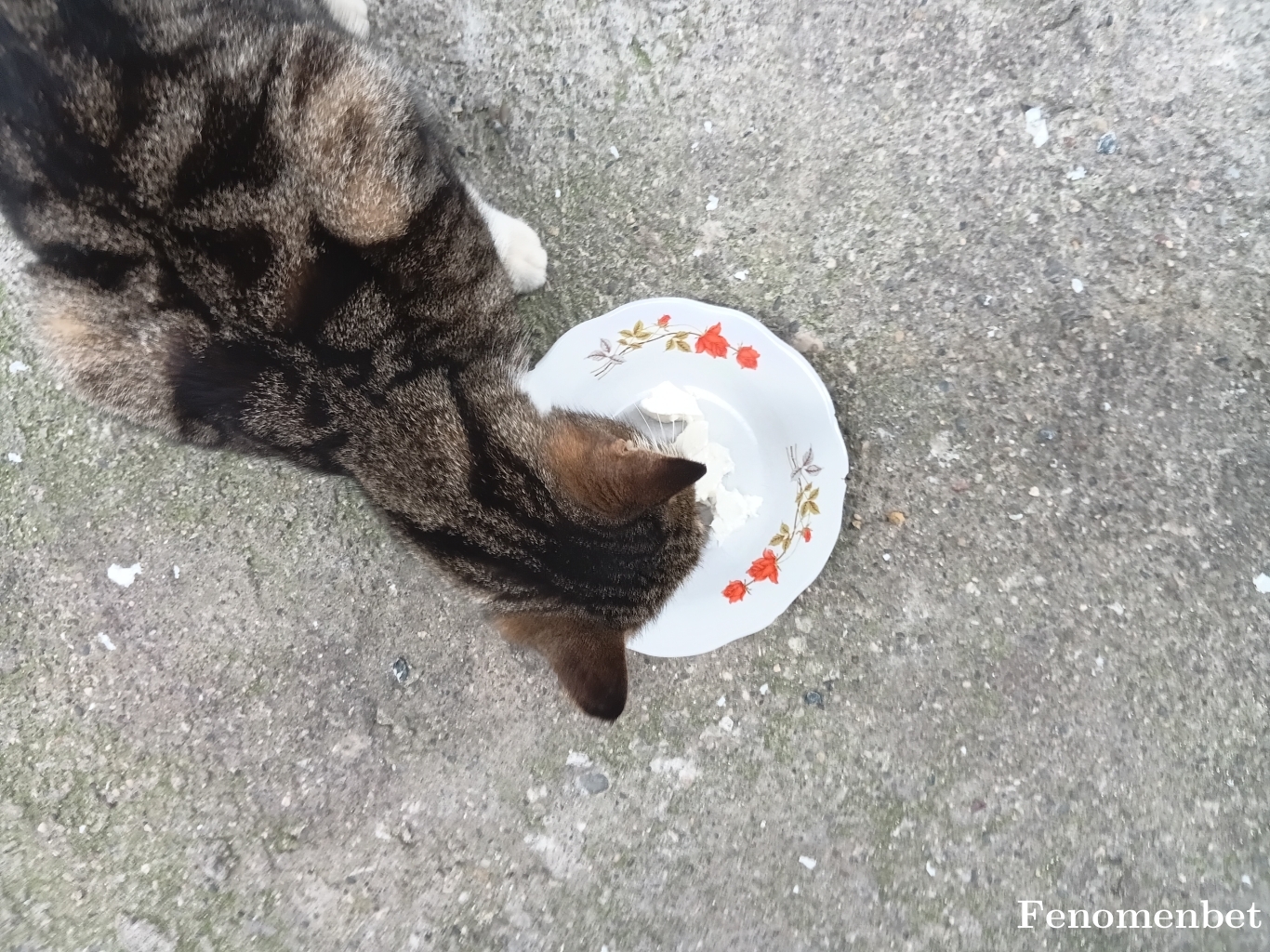 Mahir80 tarafından paylaşıldı