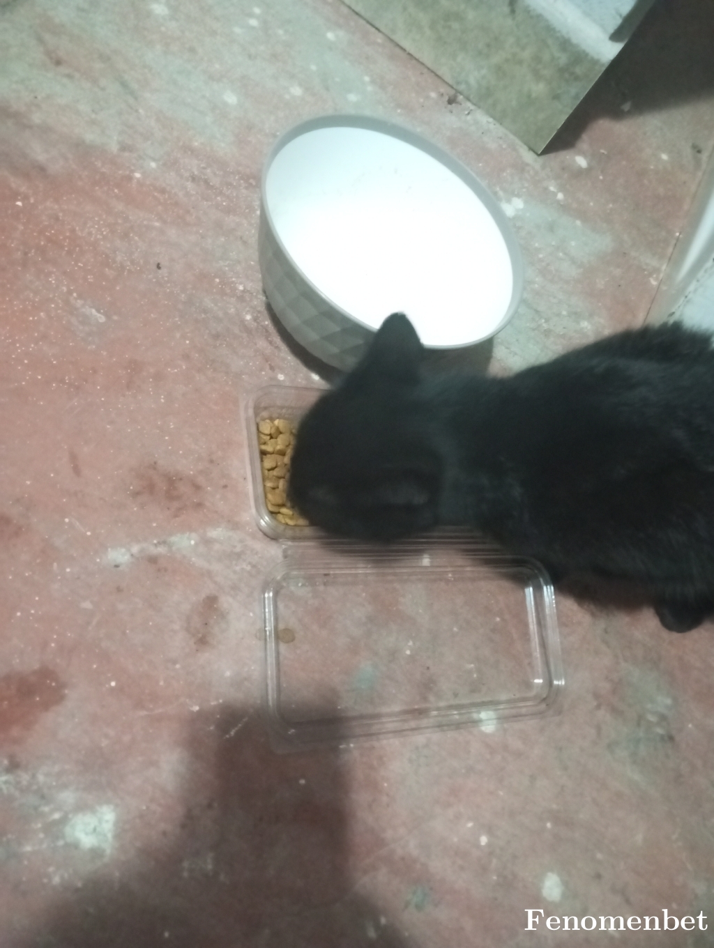 smilekaptan  tarafından paylaşıldı