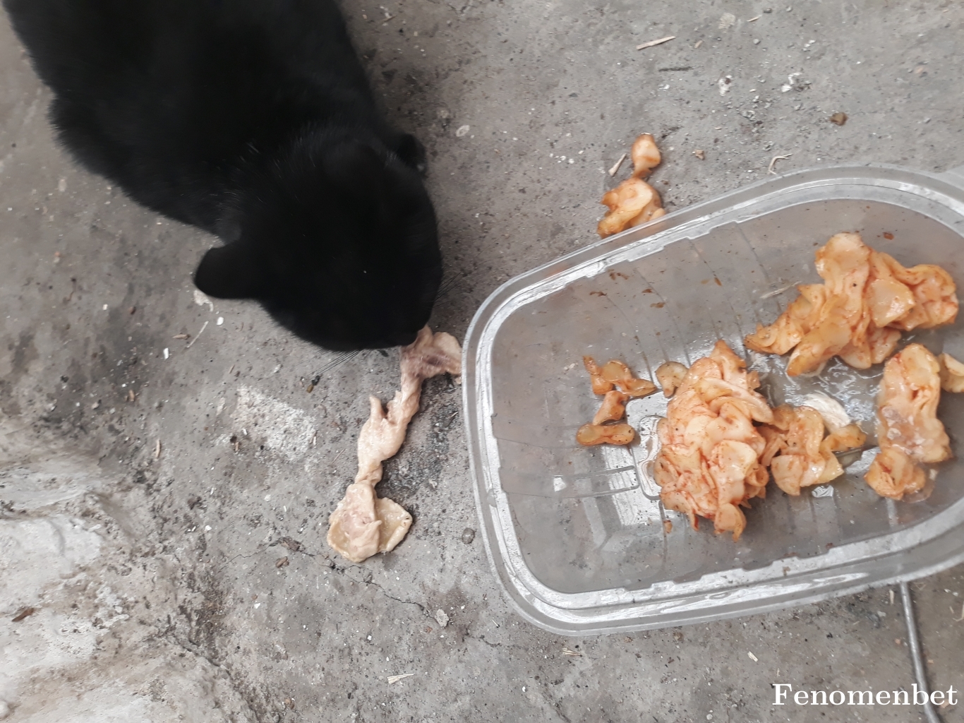 Mustou tarafından paylaşıldı