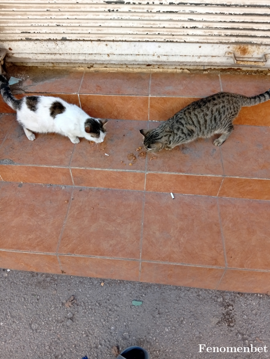 Eypylmz21 tarafından paylaşıldı