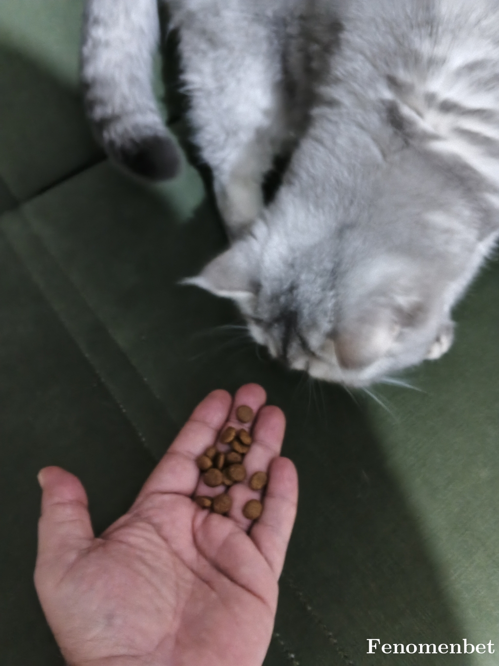 Cecom21 tarafından paylaşıldı