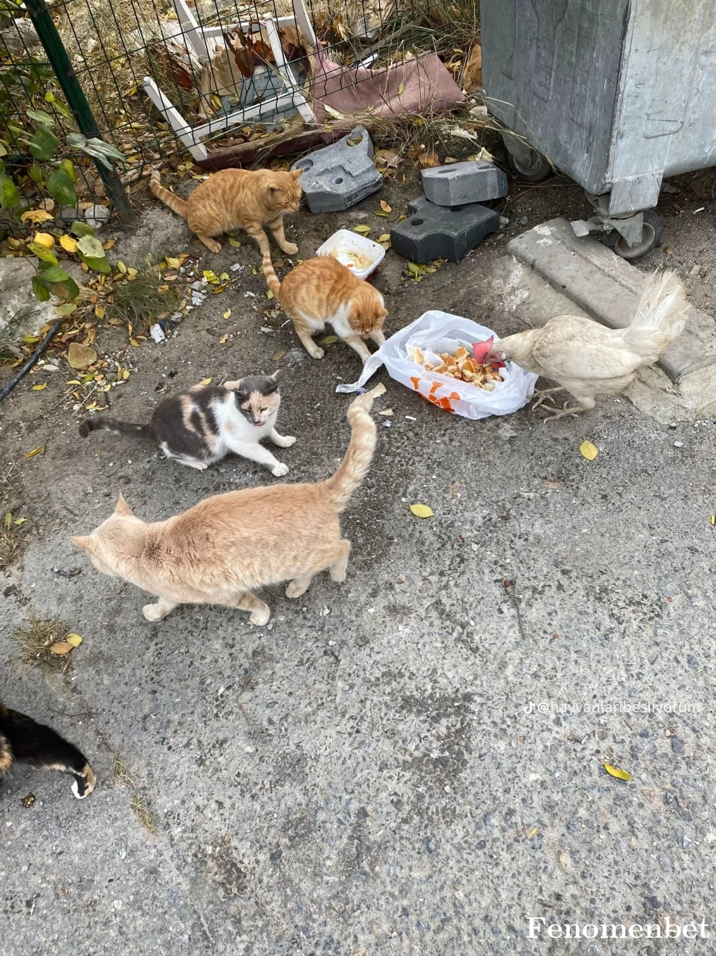 Ahmettaydinalp tarafından paylaşıldı