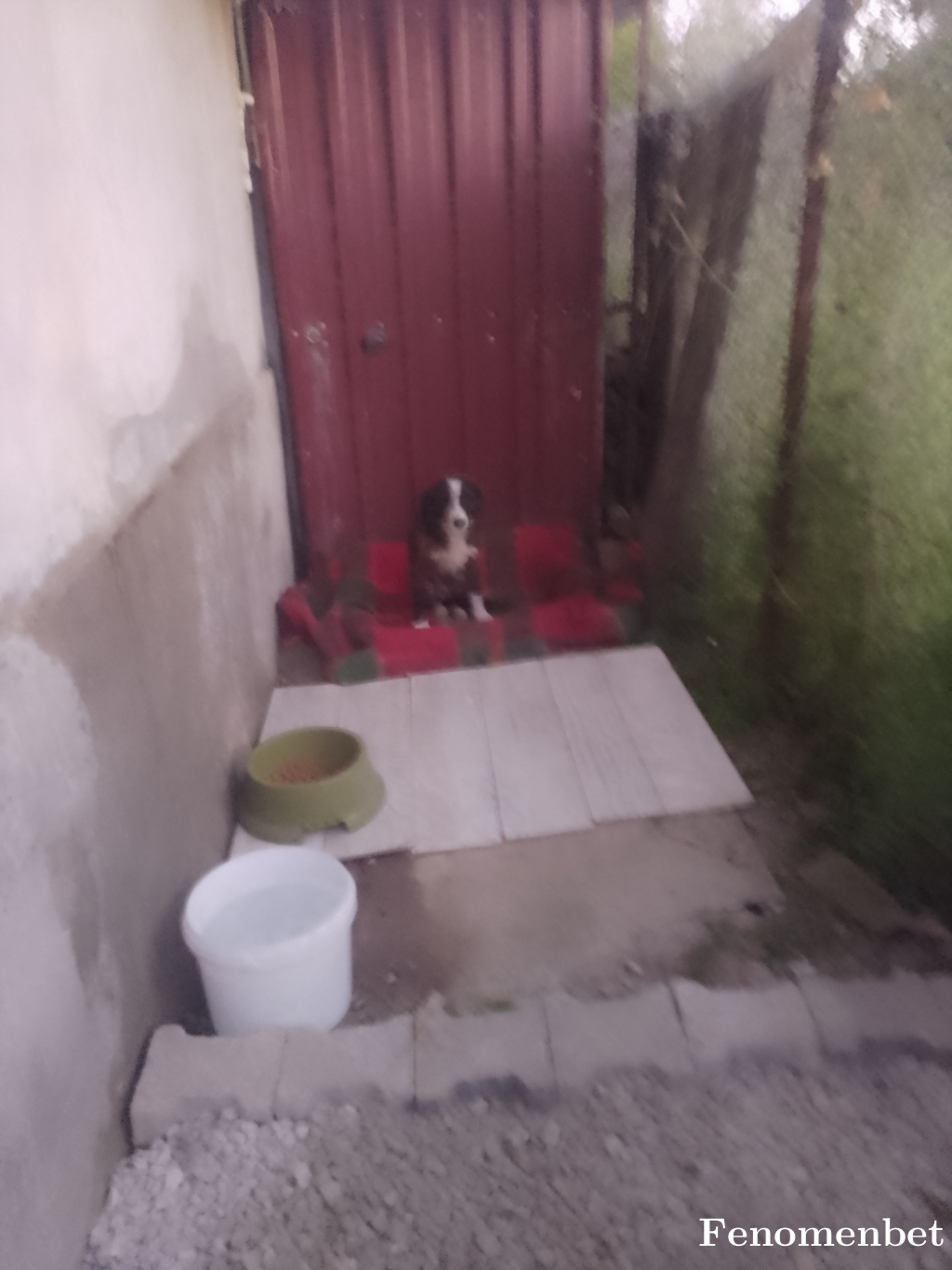 Ural99 tarafından paylaşıldı