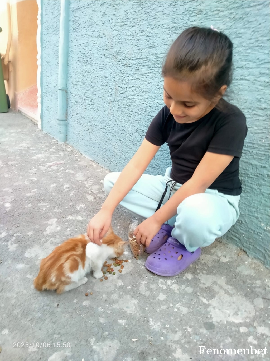 olcay2516 tarafından paylaşıldı