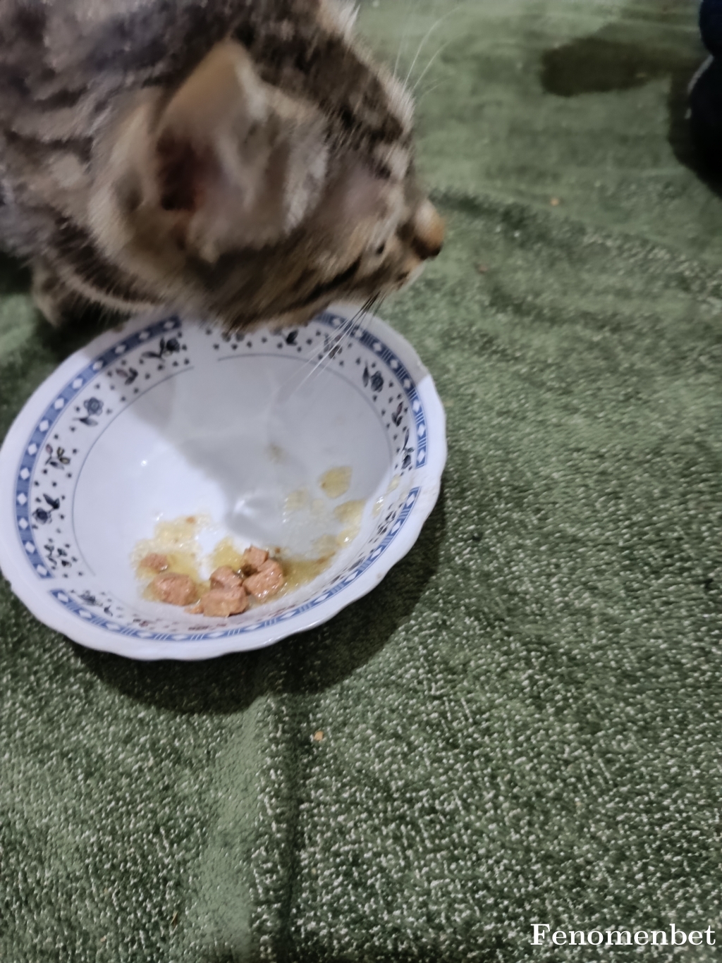 Ssevdaa tarafından paylaşıldı