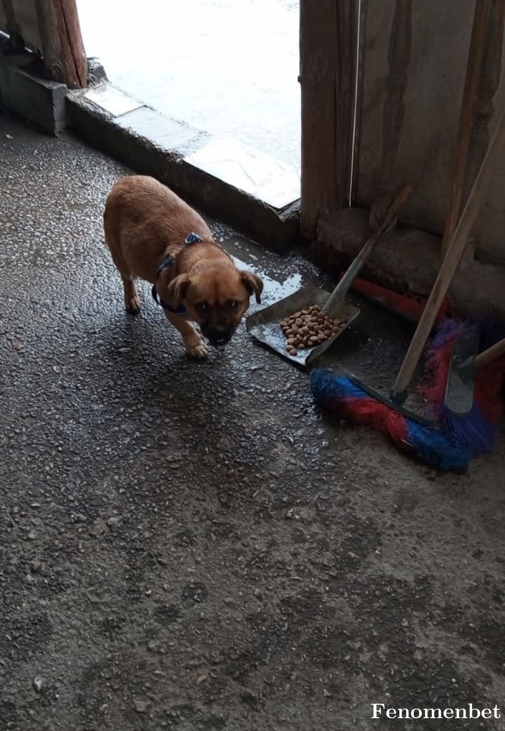 Birebey tarafından paylaşıldı