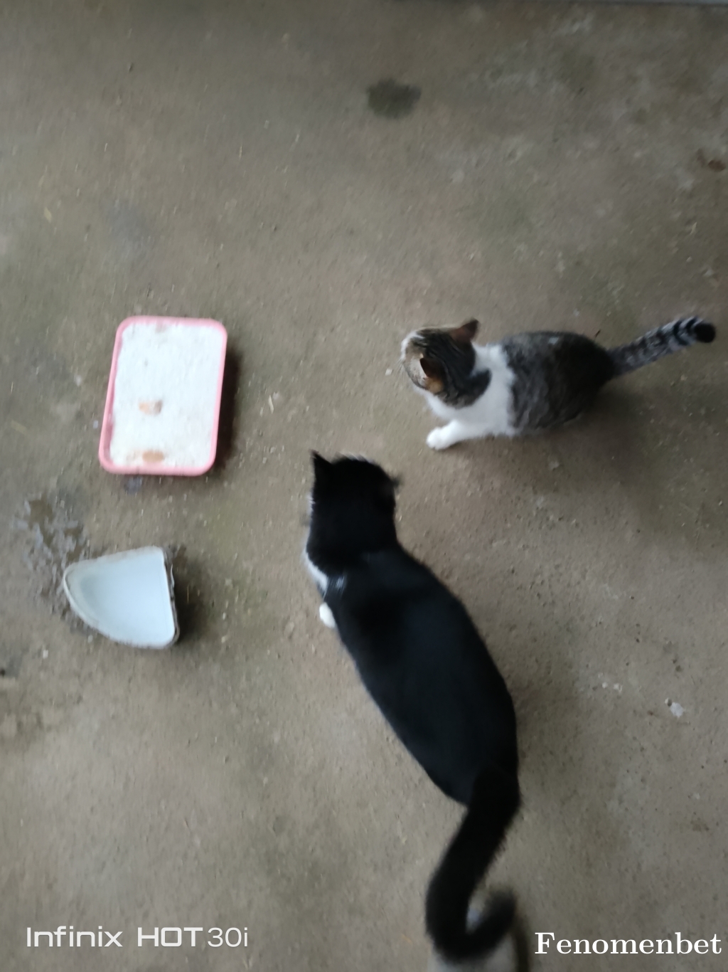 wintoloji tarafından paylaşıldı