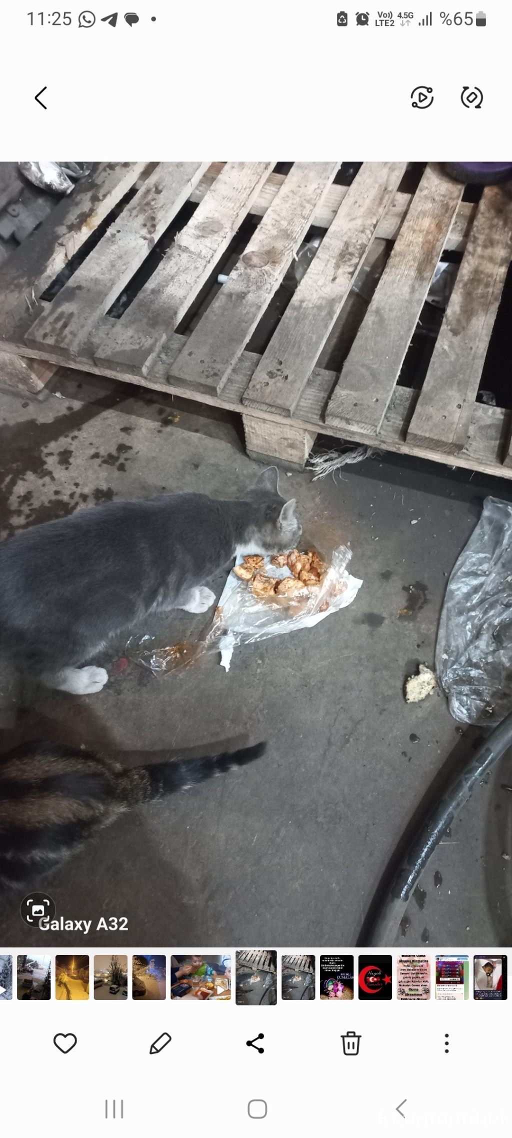 Parma67 tarafından paylaşıldı