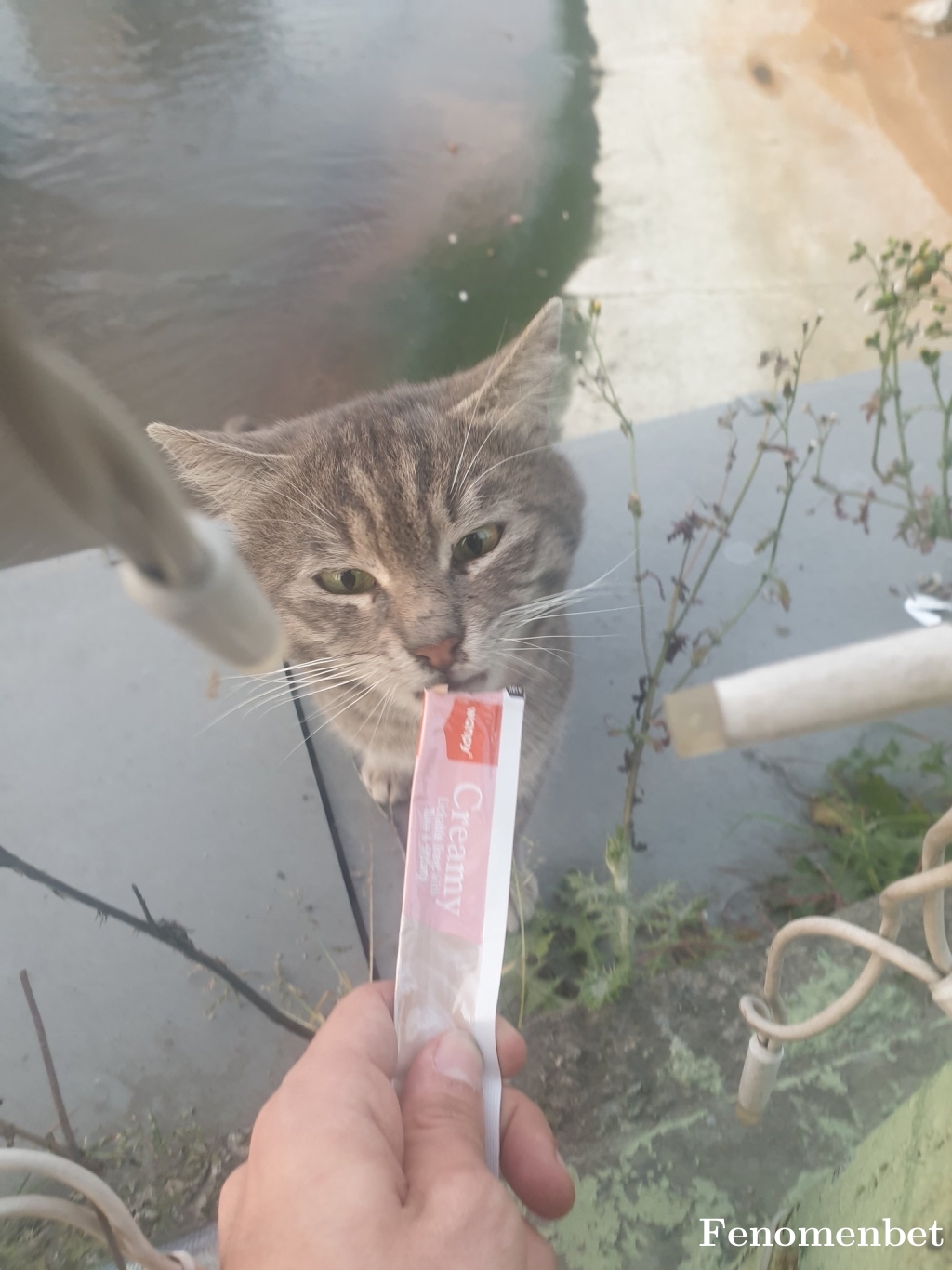 Stepcurry28  tarafından paylaşıldı