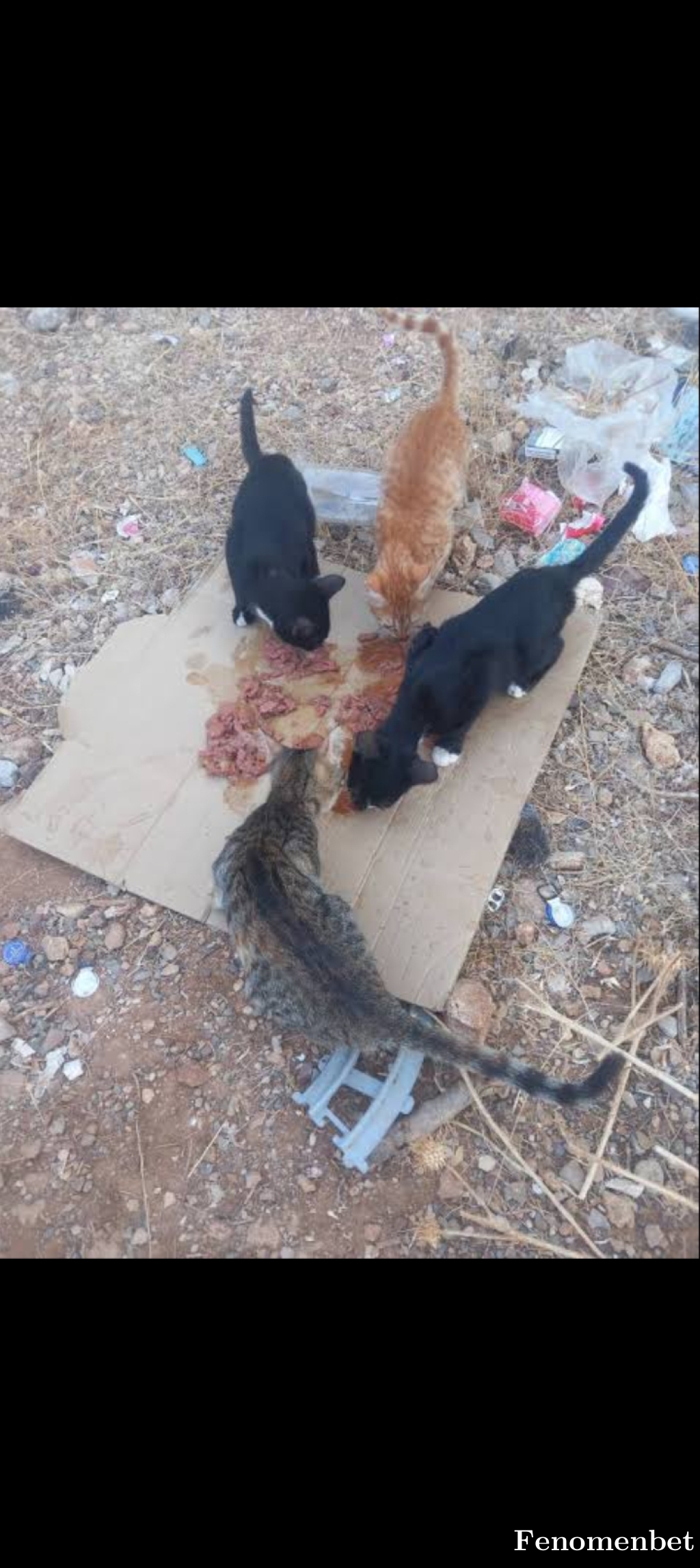 Galataman tarafından paylaşıldı