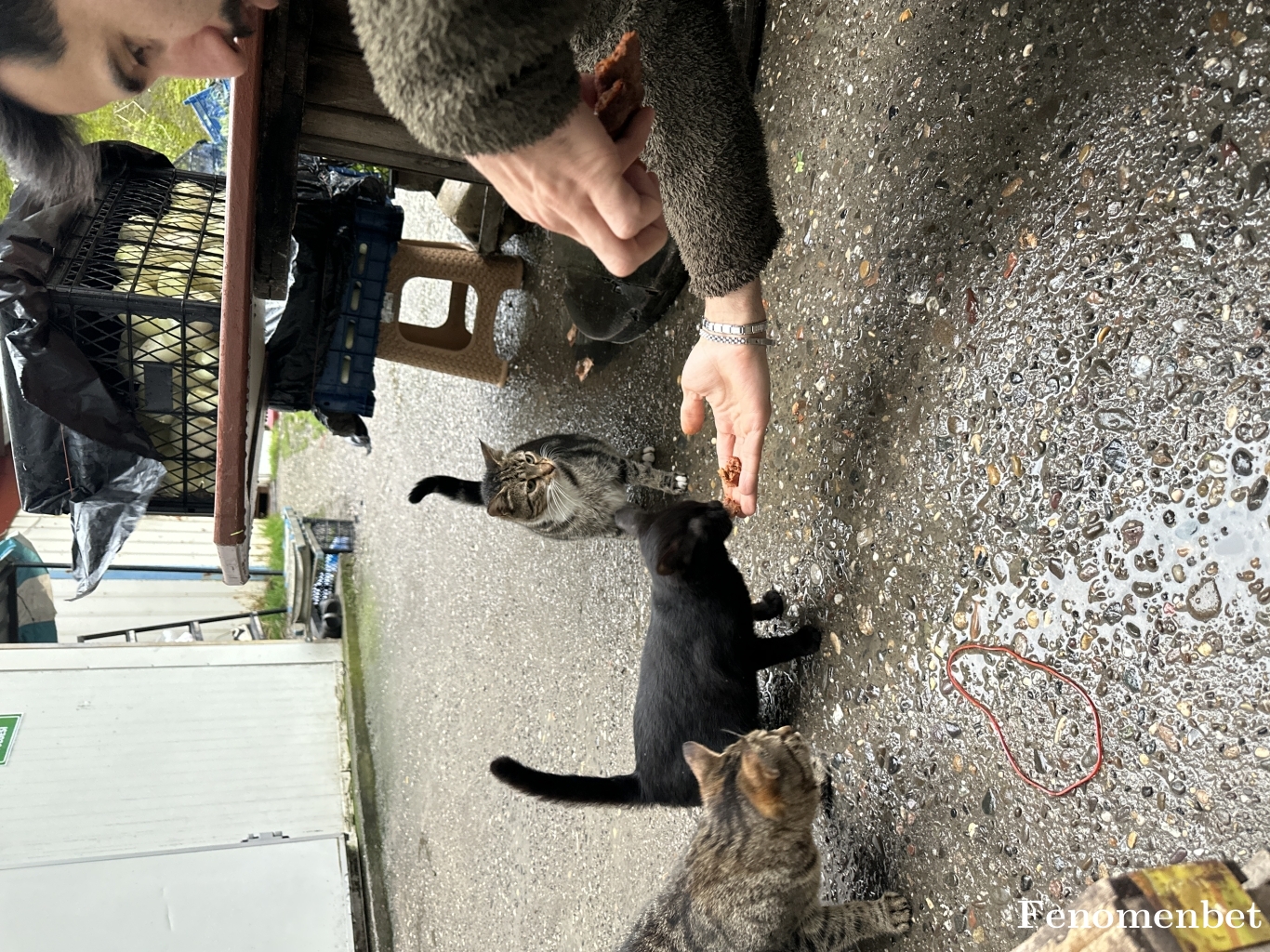 Ozgurk7 tarafından paylaşıldı