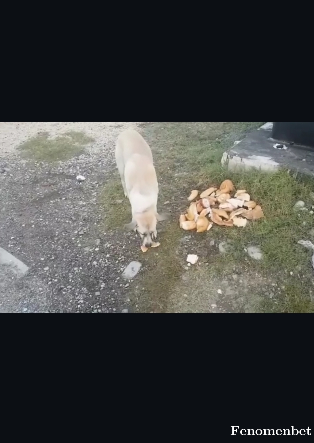 tasocan tarafından paylaşıldı