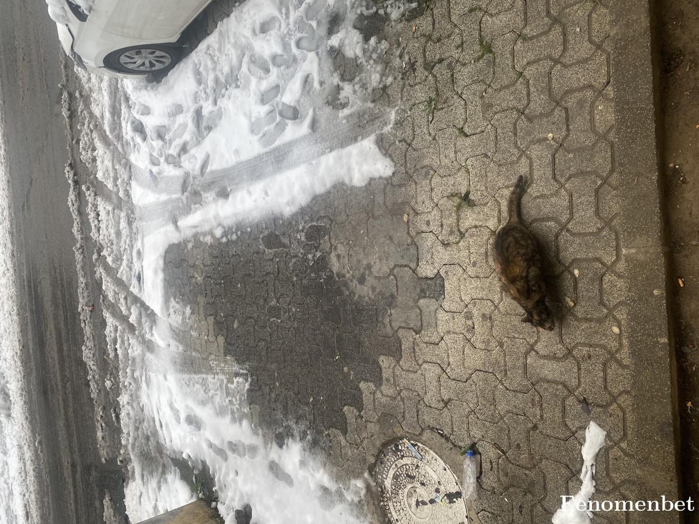 Ademplt  tarafından paylaşıldı