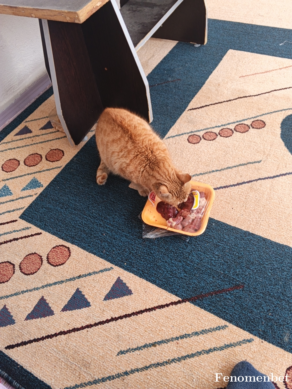 ceyhun3449 tarafından paylaşıldı