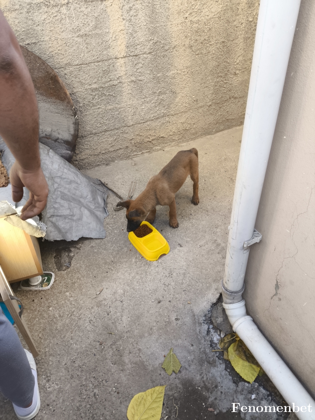 Gksl99 tarafından paylaşıldı