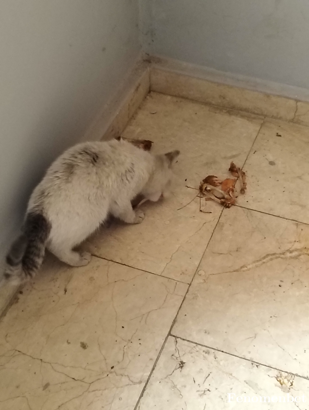 Ruzgar2789 tarafından paylaşıldı