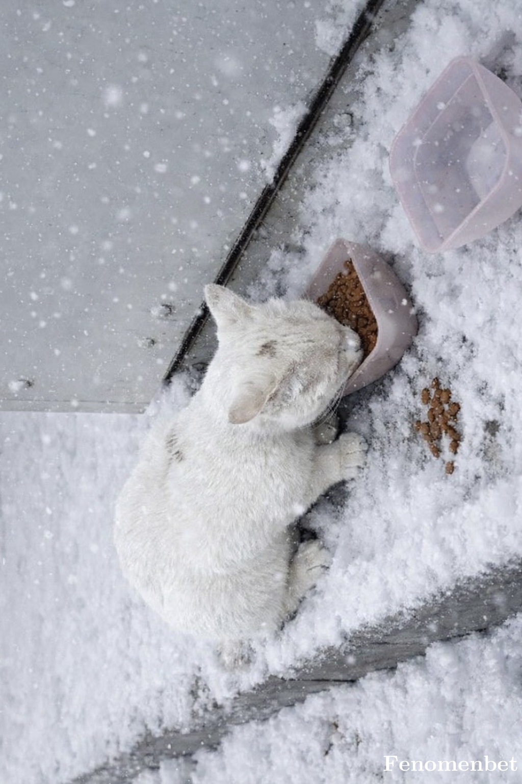 Sevilay44 tarafından paylaşıldı